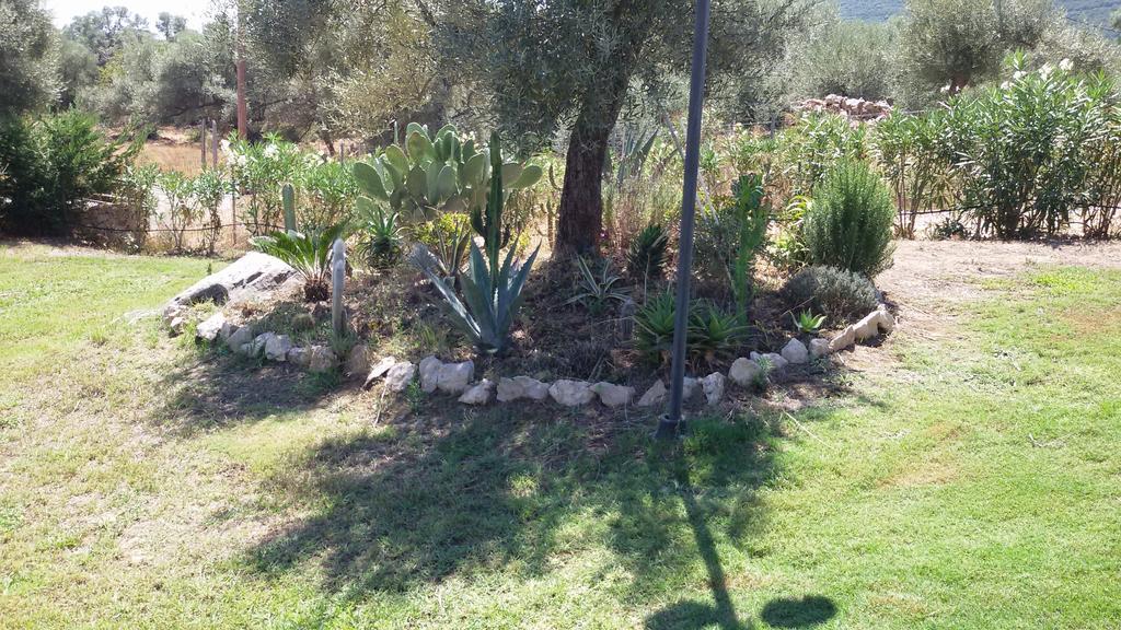 Stalina Villa Syvota Rum bild
